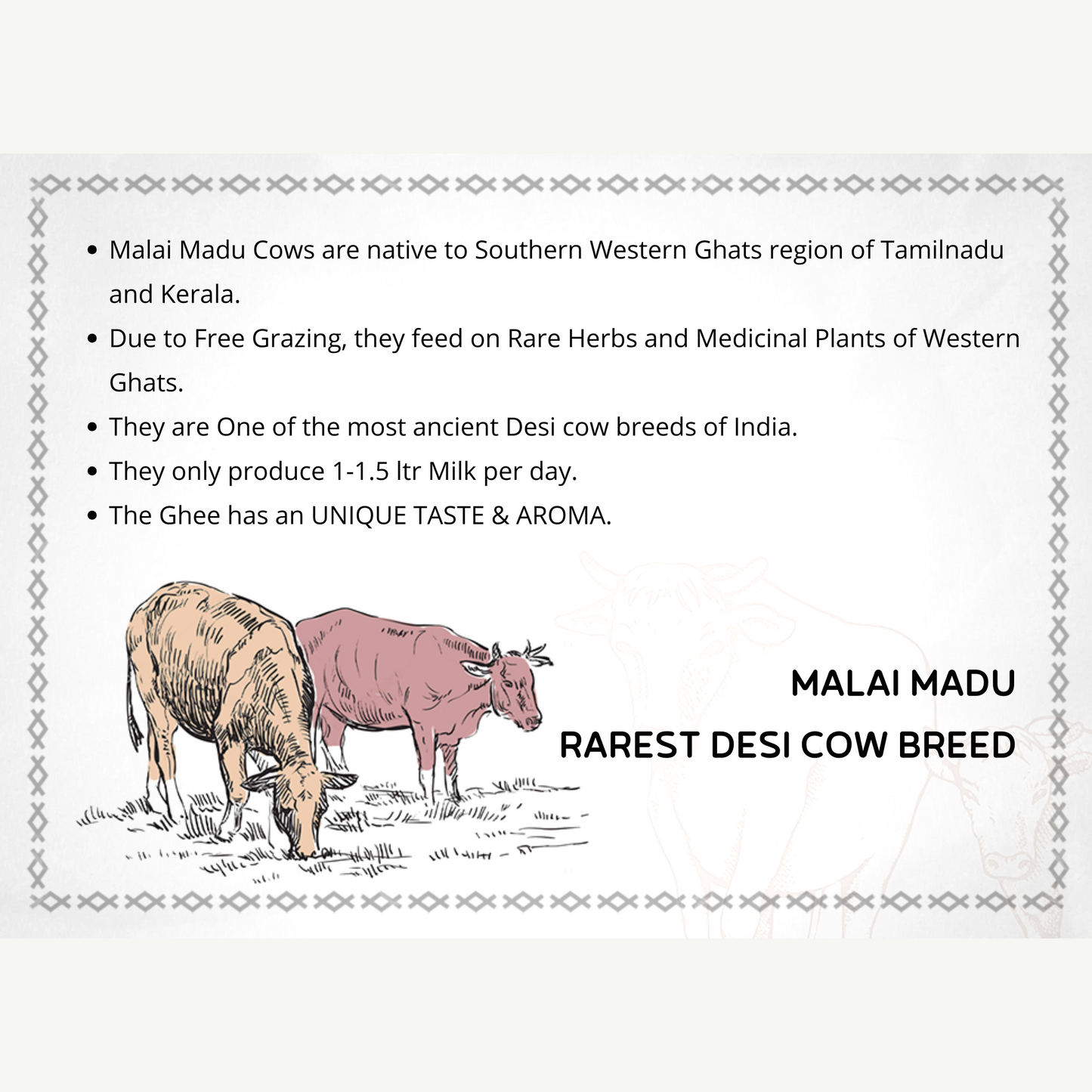 Cultured A2 Full Moon Premium Cow Ghee – 1000 ml | Ayurvedic Bilona Cow Ghee | 100% Natural
