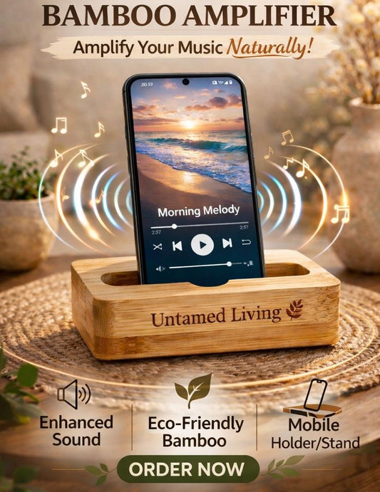 Bamboo Sound Amplifier cum Mobile Stand