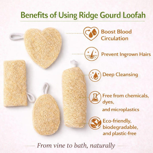 Natural Ridge Gourd Loofah 4 Unique Shapes | Pack of 4