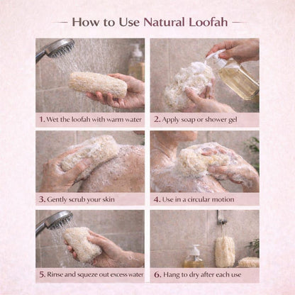 Natural Ridge Gourd Loofah 4 Unique Shapes | Pack of 4